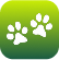 Core Values Icon